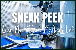 Sneak Peek into Nourse Farms' upcoming Tissue Culture Lab